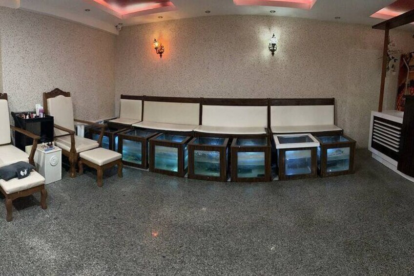 A room with a long bench, chairs, and aquariums. 4