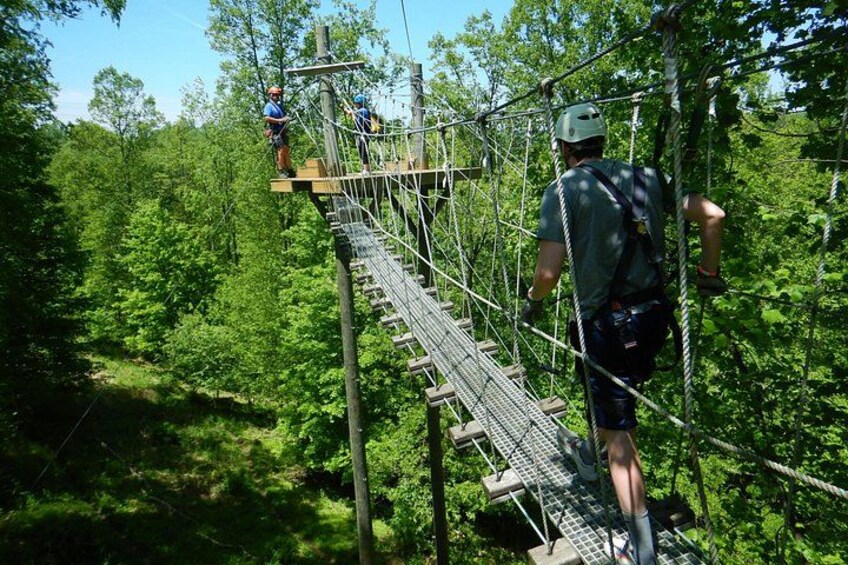 People on a suspended bridge in a forest. 5