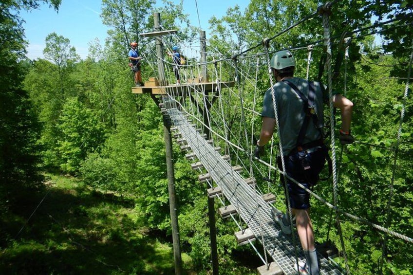 A person walking on a suspended wooden bridge in a forest. 5