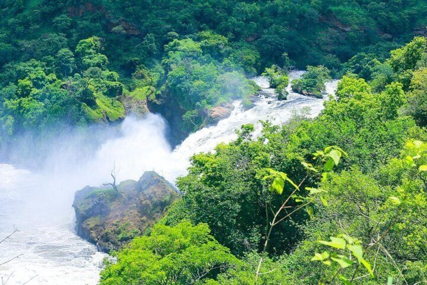 A waterfall surrounded by dense green forest. 3