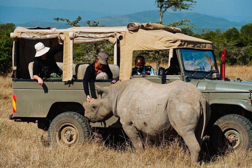 A safari vehicle with passengers and a rhinoceros in a grassy field. 3