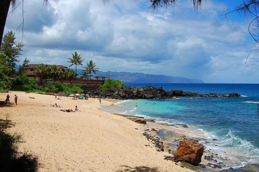 Oahu Private Tour North Shore, Waimea Falls and Dole Plantation 1