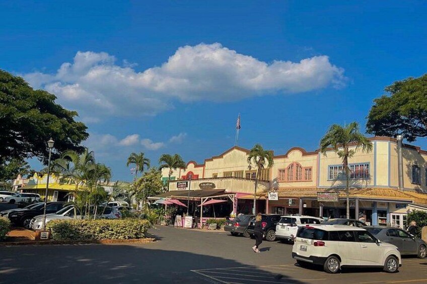 Oahu Private Tour North Shore, Waimea Falls and Dole Plantation 2