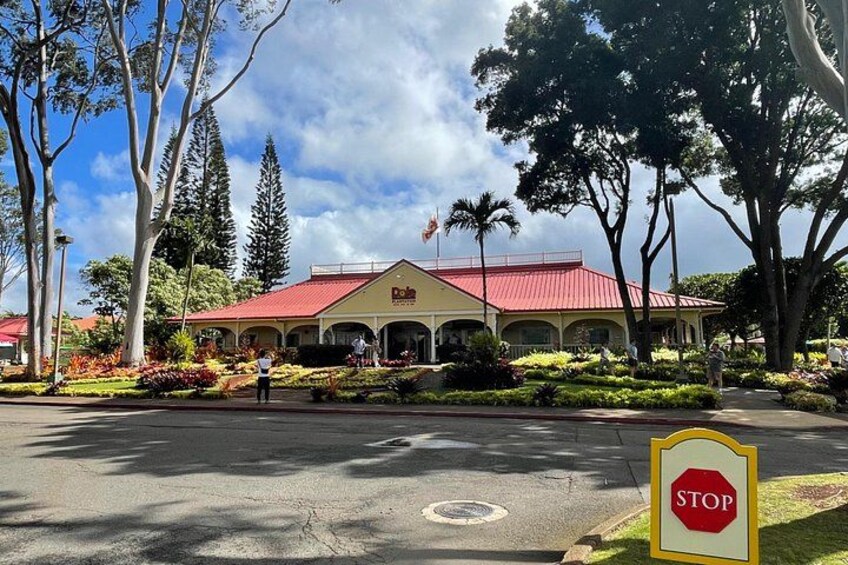 Oahu Private Tour North Shore, Waimea Falls and Dole Plantation 2