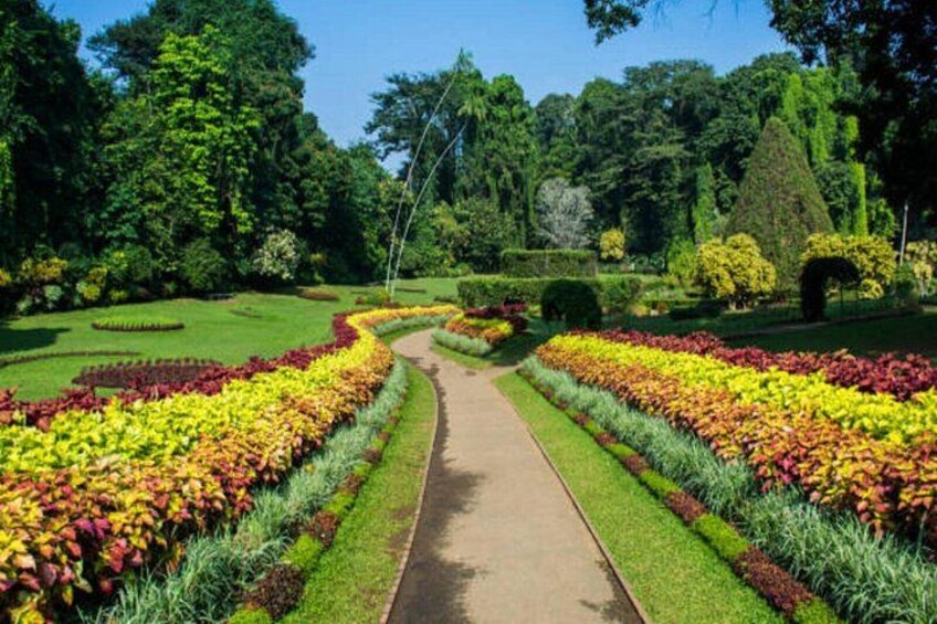 Ein Garten mit einem zentralen Weg, bunten Blumenbeeten und ordentlich geschnittenen Hecken. 3