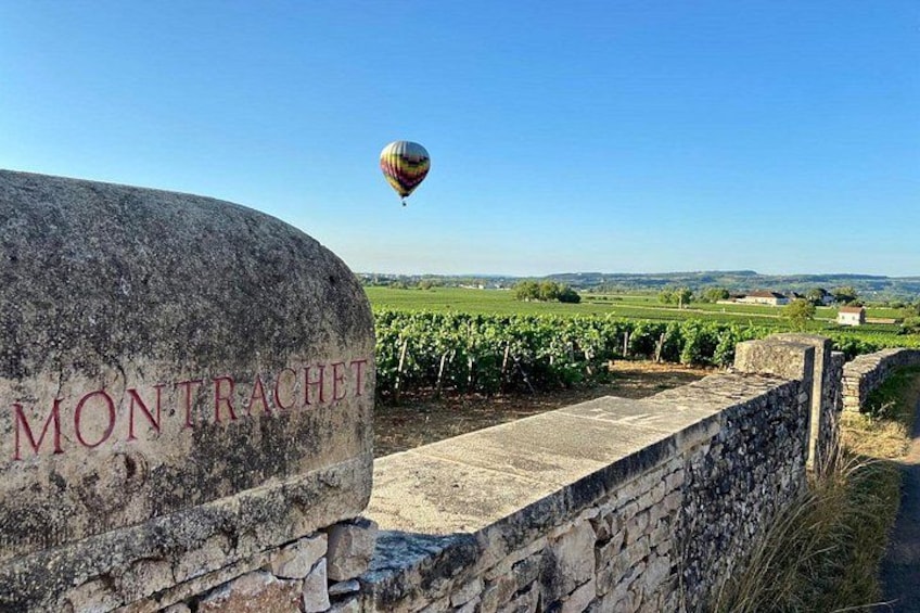 Een wijngaard, een stenen muur en een luchtballon in de verte. 1