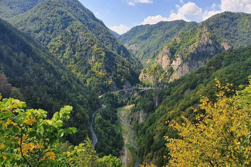 Une vallée traversée par une route sinueuse, bordée d’une forêt verdoyante et dense, et où se trouve un pont. 3