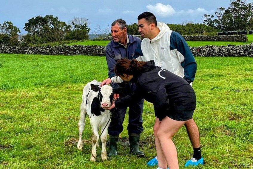 Terceira Island Highlights with Local Guide 3