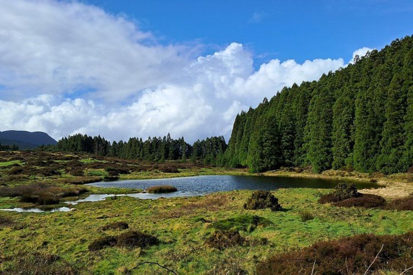 En sjö omgiven av en tät skog och en klar himmel. 4