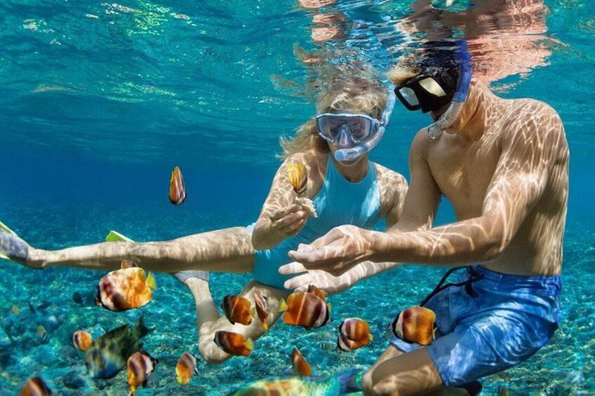 Zwei Personen liegen beim Schnorcheln unter Wasser, umgeben von Fischen und Muscheln. 4
