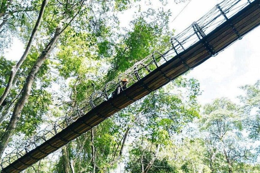 Sky Rock Khaolak Jungle Adventure: Zipline Thrills & Nature 4
