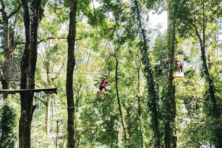A person swinging on a rope bridge in a forest. 3