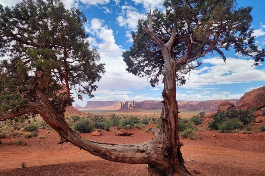 Monument Valley Bundle – Scenic Drive & Inside Park Audio Tours 3