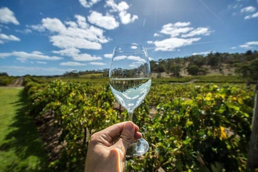 Barossa Valley Wine Tour Tastings and Lunch Included 1
