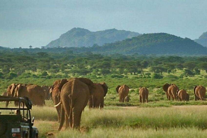 Cape Town to Durban - 7 Day Adventure Hiking Safari and Beaches 2