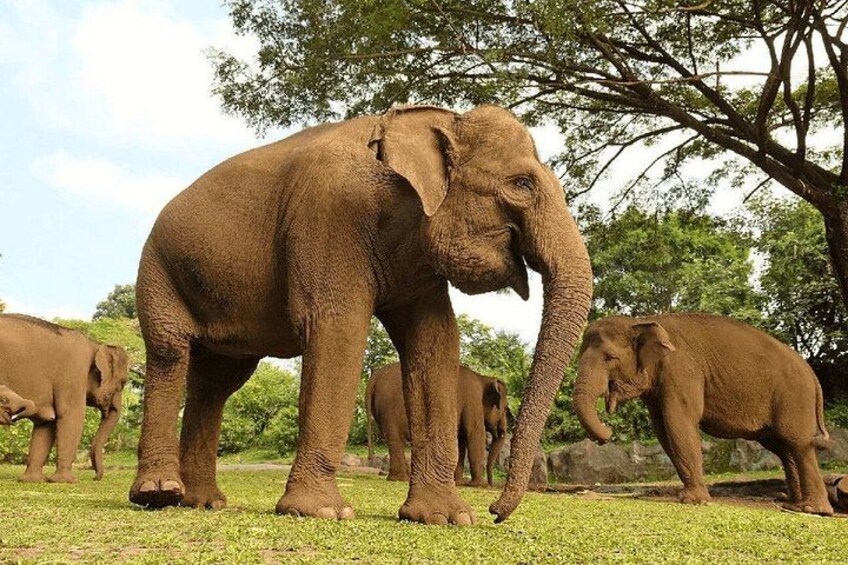 Cape Town to Durban - 7 Day Adventure Hiking Safari and Beaches 5