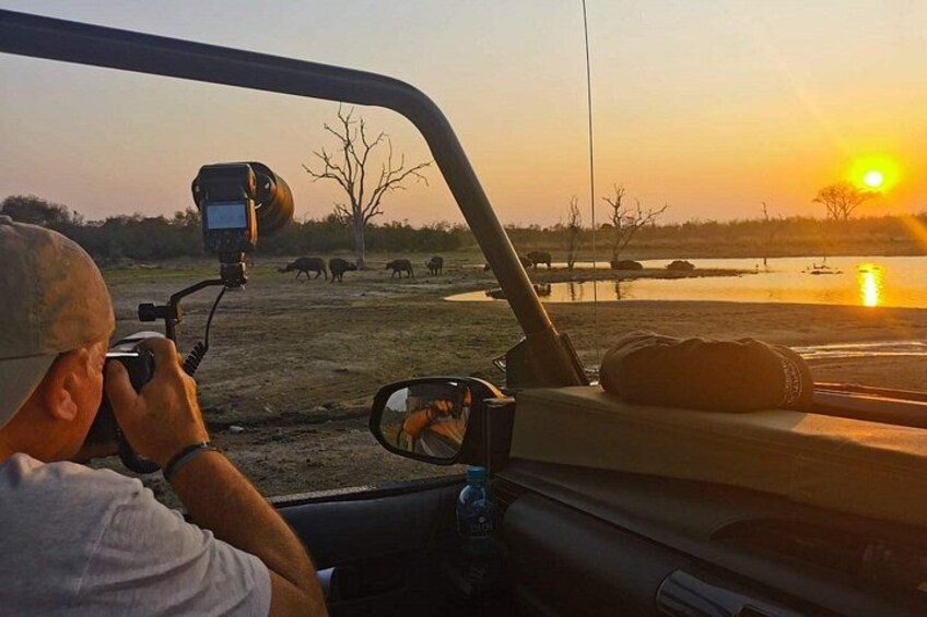 A person taking a photo of wildlife at sunset. 5