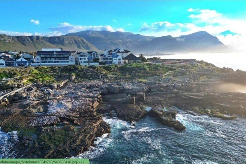 Port Elizabeth to Cape Town 4 Day Garden Route Safari 5