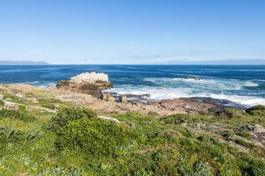 Port Elizabeth to Cape Town 4 Day Garden Route Safari 3