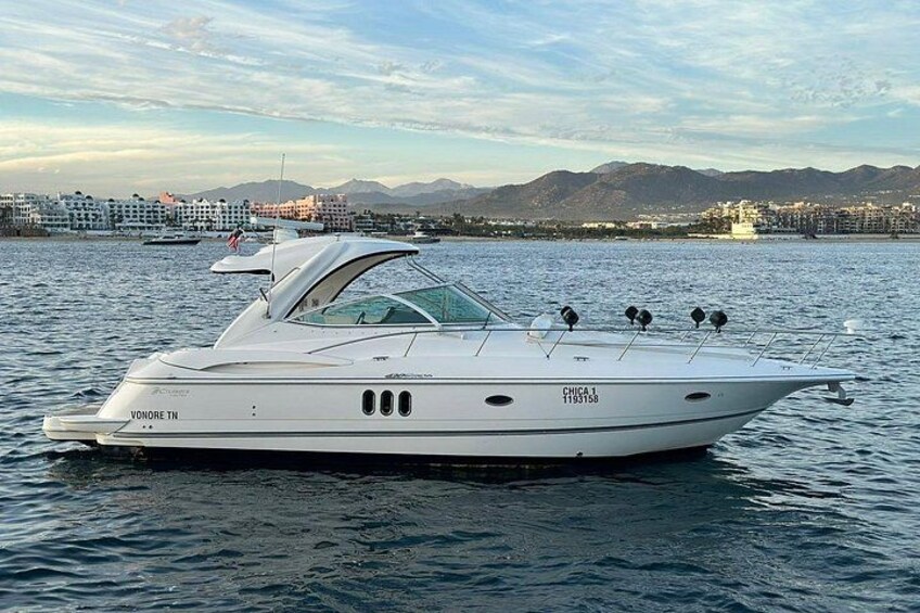 Private 42-foot luxury yacht tour in Los Cabos 3