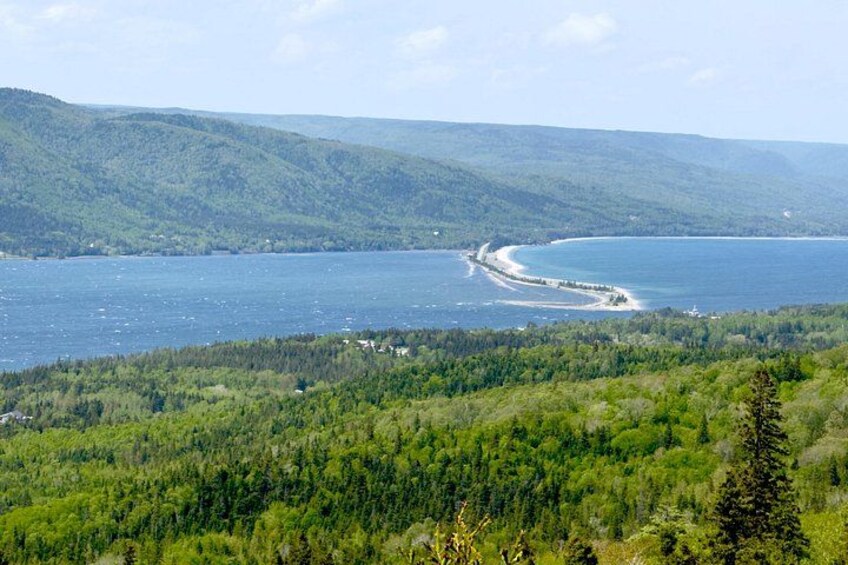 A coastal landscape with a curving shoreline, dense forest, and a distant view of a small town. 2