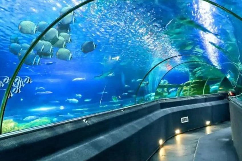 Nha Trang City Tour: Top Attractions & Hidden Gems 5