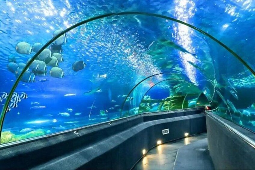 Nha Trang City Tour: Top Attractions & Hidden Gems 2