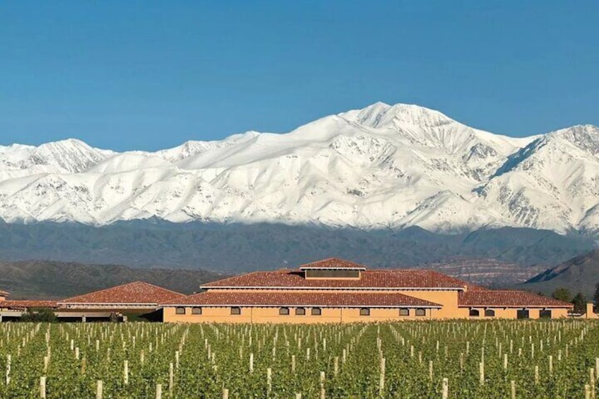 Stories of Malbec by Lujan de Cuyo 3