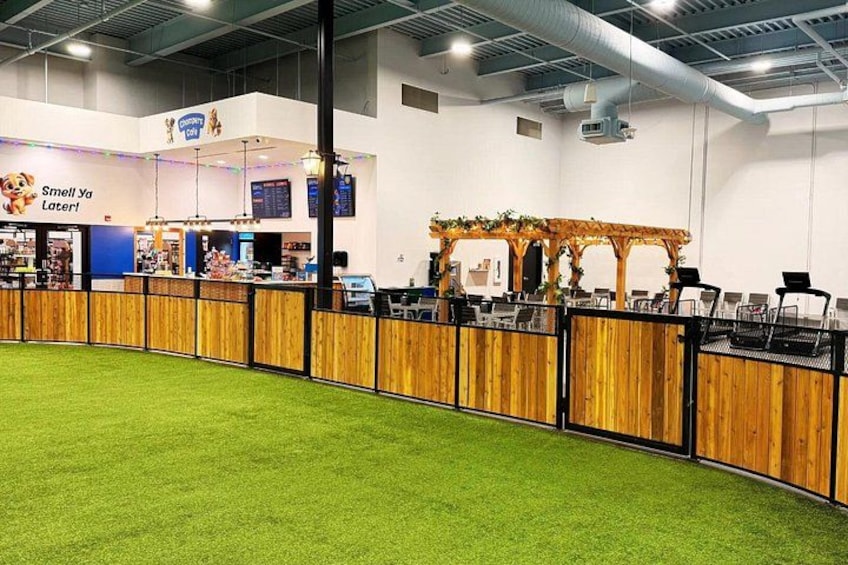 Petfinity Indoor Dog Park in Calgary 4