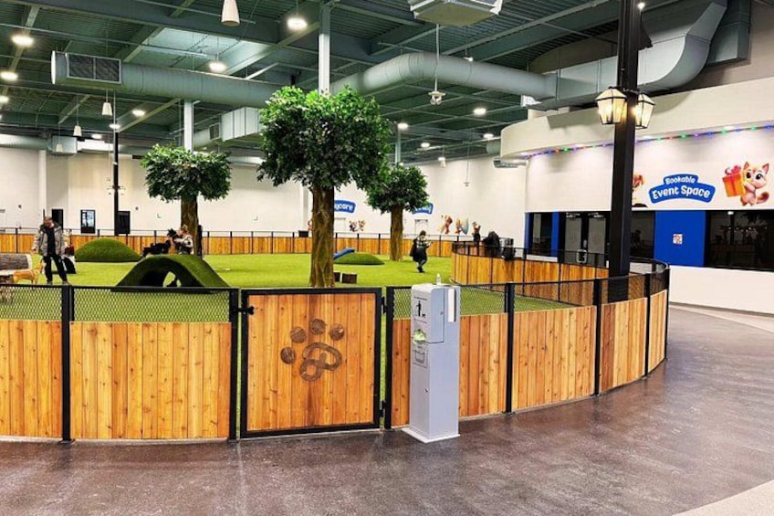 Petfinity Indoor Dog Park in Calgary 5