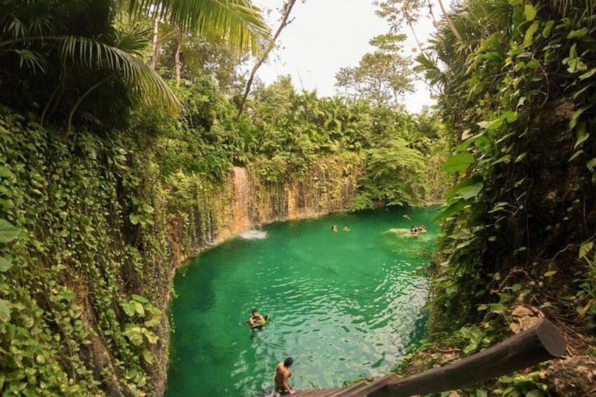 Una piscina natural rodeada de abundante vegetación. 3