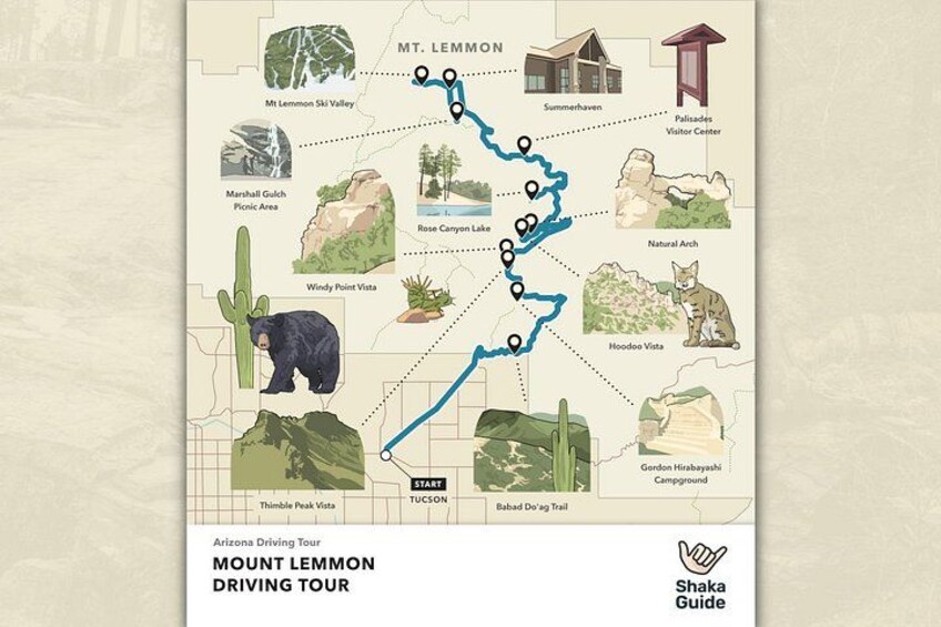Self Guided Mt. Lemmon Scenic Byway Driving Tour 4