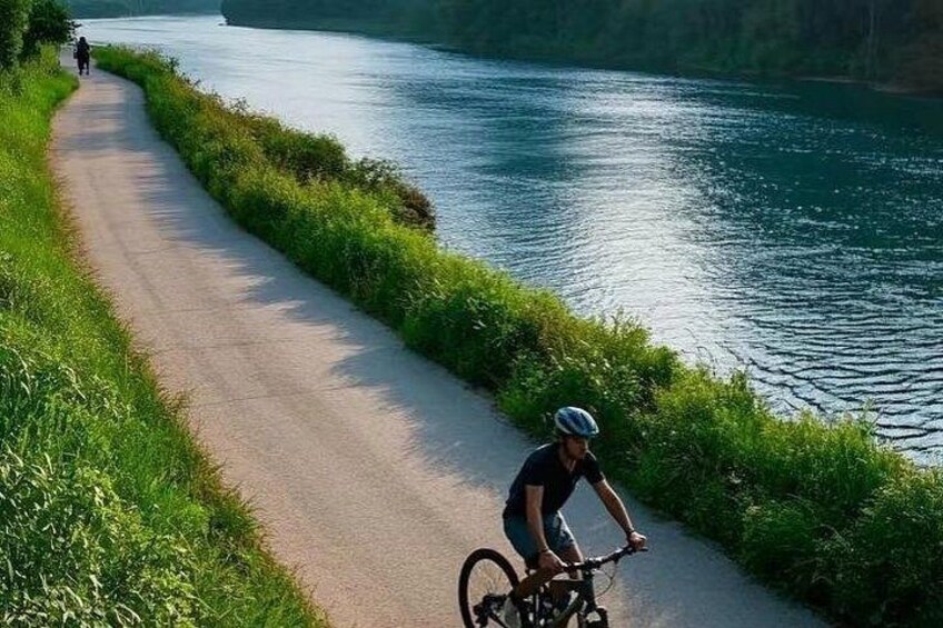 En cyklist på en asfalteret sti ved en flod, omgivet af grønt. 4