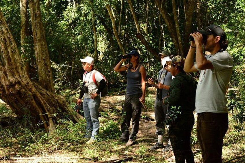 Un grupo de personas en un área boscosa, algunas usando binoculares. 4