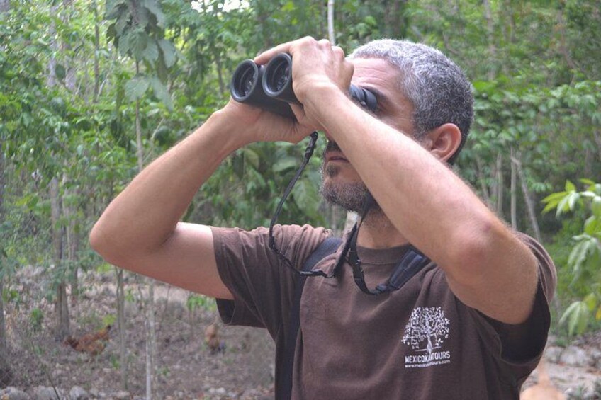 Una persona usando binoculares en una zona boscosa. 3