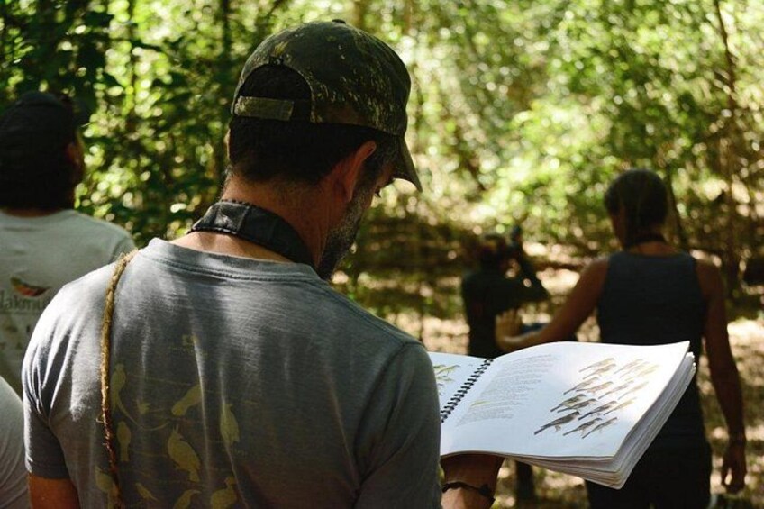 Una persona leyendo un libro en un área boscosa. 2