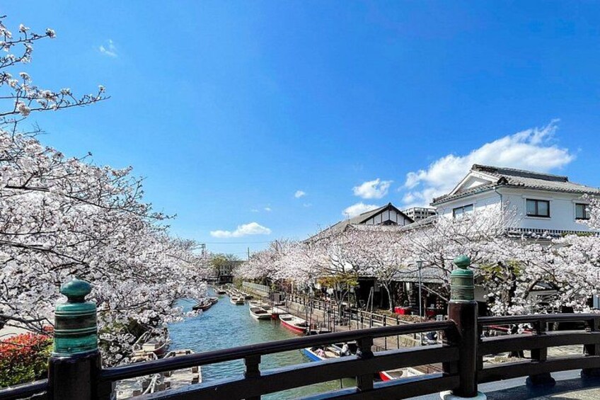 A river with cherry blossoms, traditional buildings, and a bridge. 1
