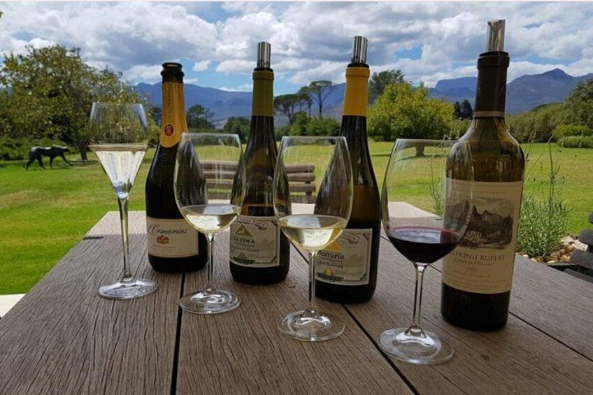 A wooden table with four wine bottles and glasses in an outdoor setting with mountains in the background. 5