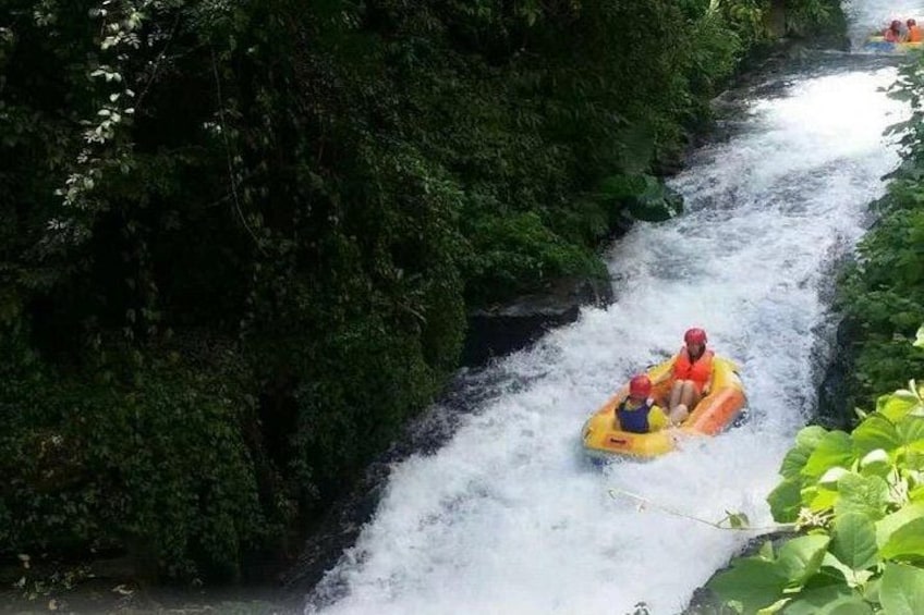 A river with rapids, surrounded by dense greenery. 3