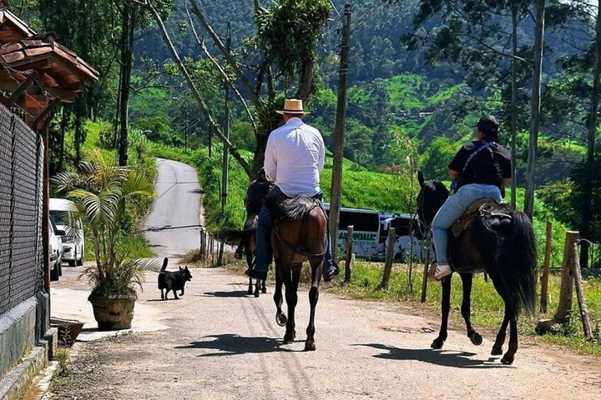 Horseback Riding Excursion through the Mountains of Medellin with Pickup 2
