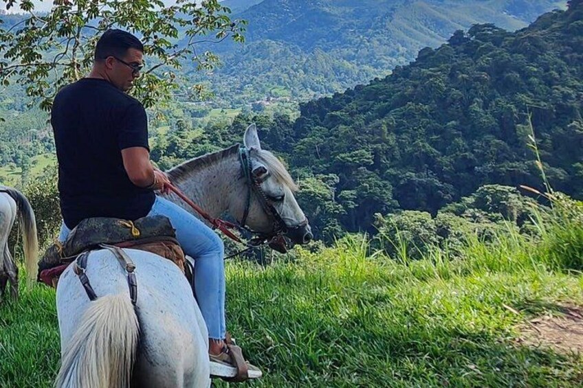 Horseback Riding Excursion through the Mountains of Medellin with Pickup 5