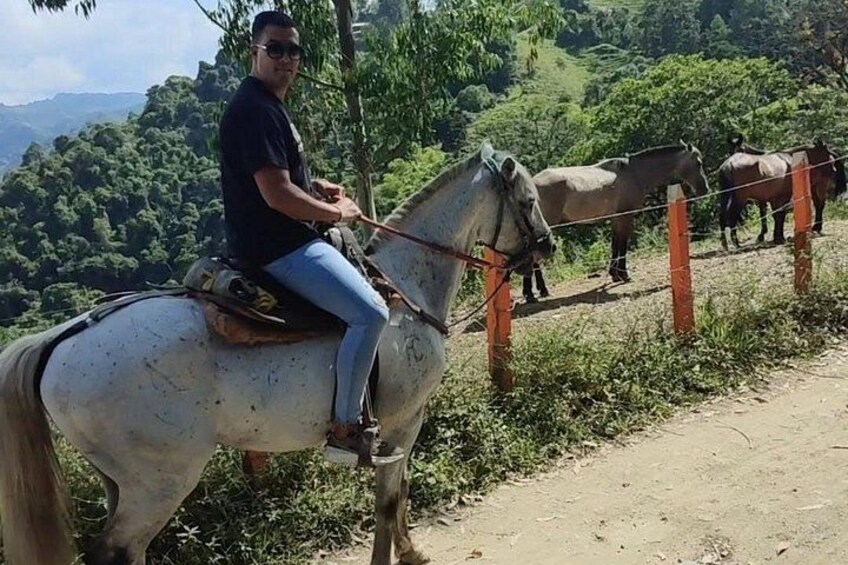 Horseback Riding Excursion through the Mountains of Medellin with Pickup 3