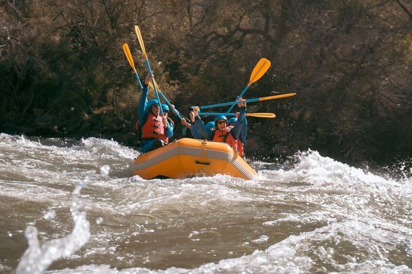 Deux personnes pratiquent le kayak sur une rivière bordée d’arbres. 5