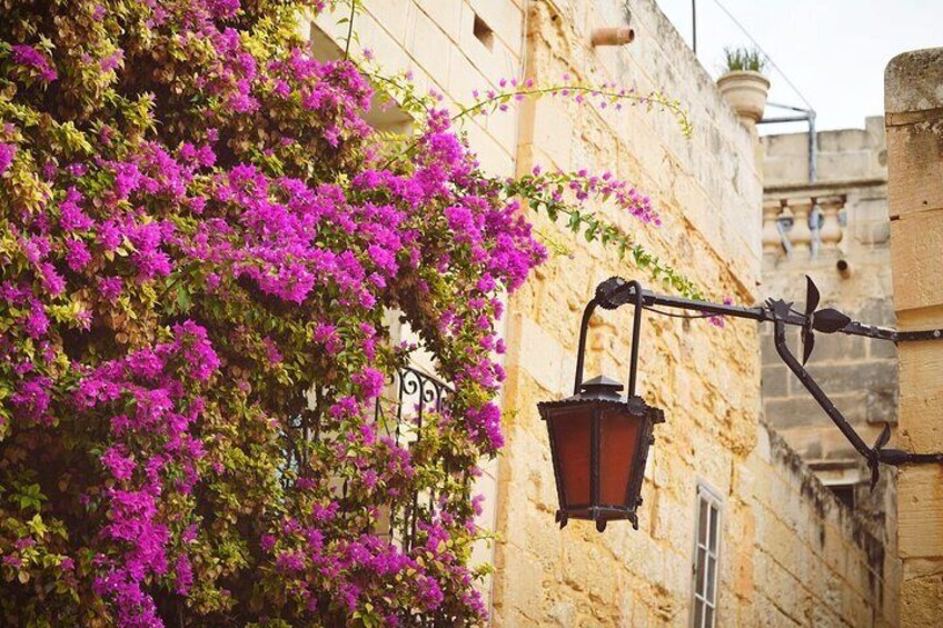Un lampadaire, un immeuble et des fleurs de bougainvillier roses. 2