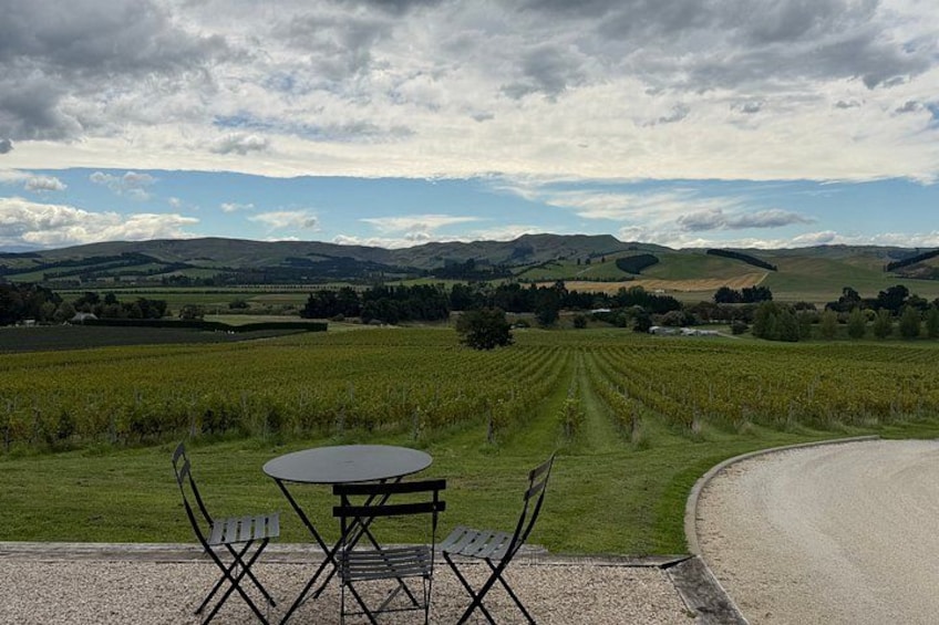 Waipara Valley Winery Tour Wine Tastings and Scenic Views 2
