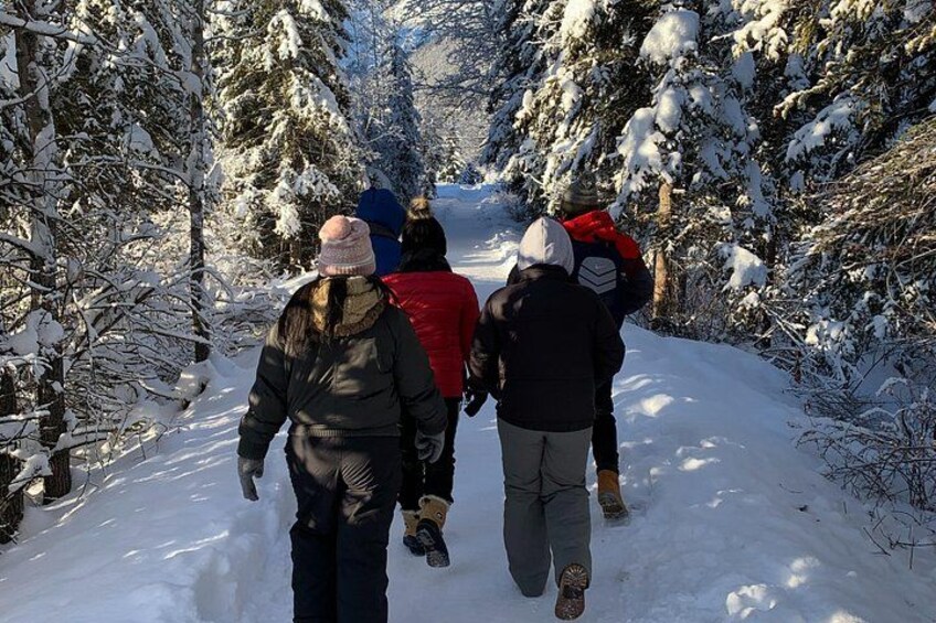 En sneklædt skovsti med folk, der går. 5