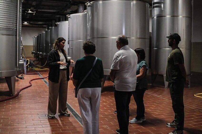 Tenute Girolamo: Wine Tour VIP 3