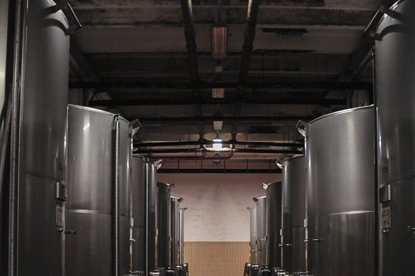 Tenute Girolamo: Wine Tour VIP 2