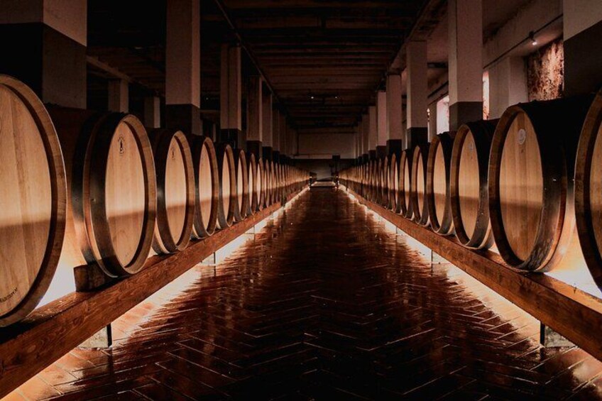 Tenute Girolamo: Wine Tour VIP 2