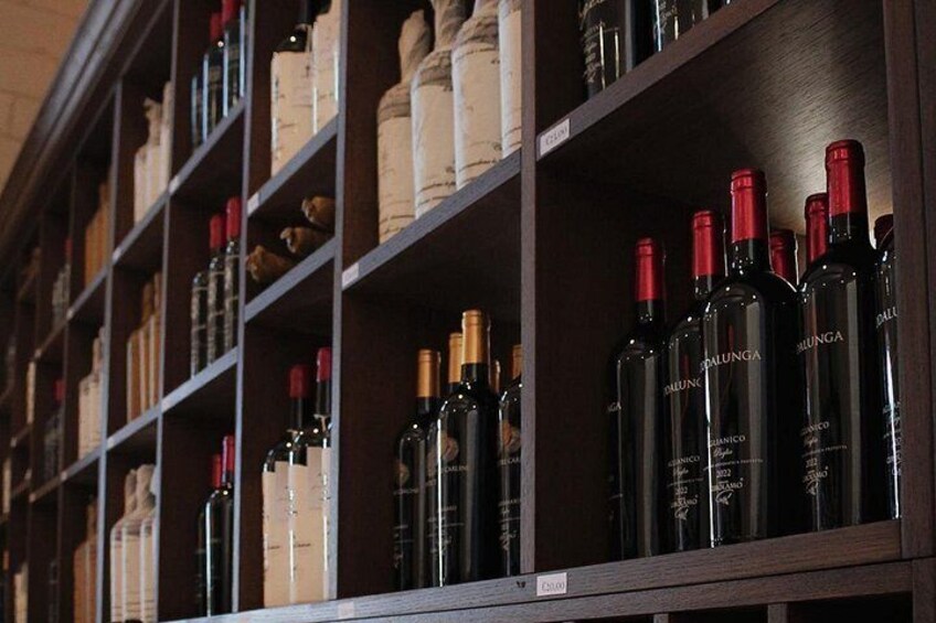 Tenute Girolamo: Wine Tour VIP 4